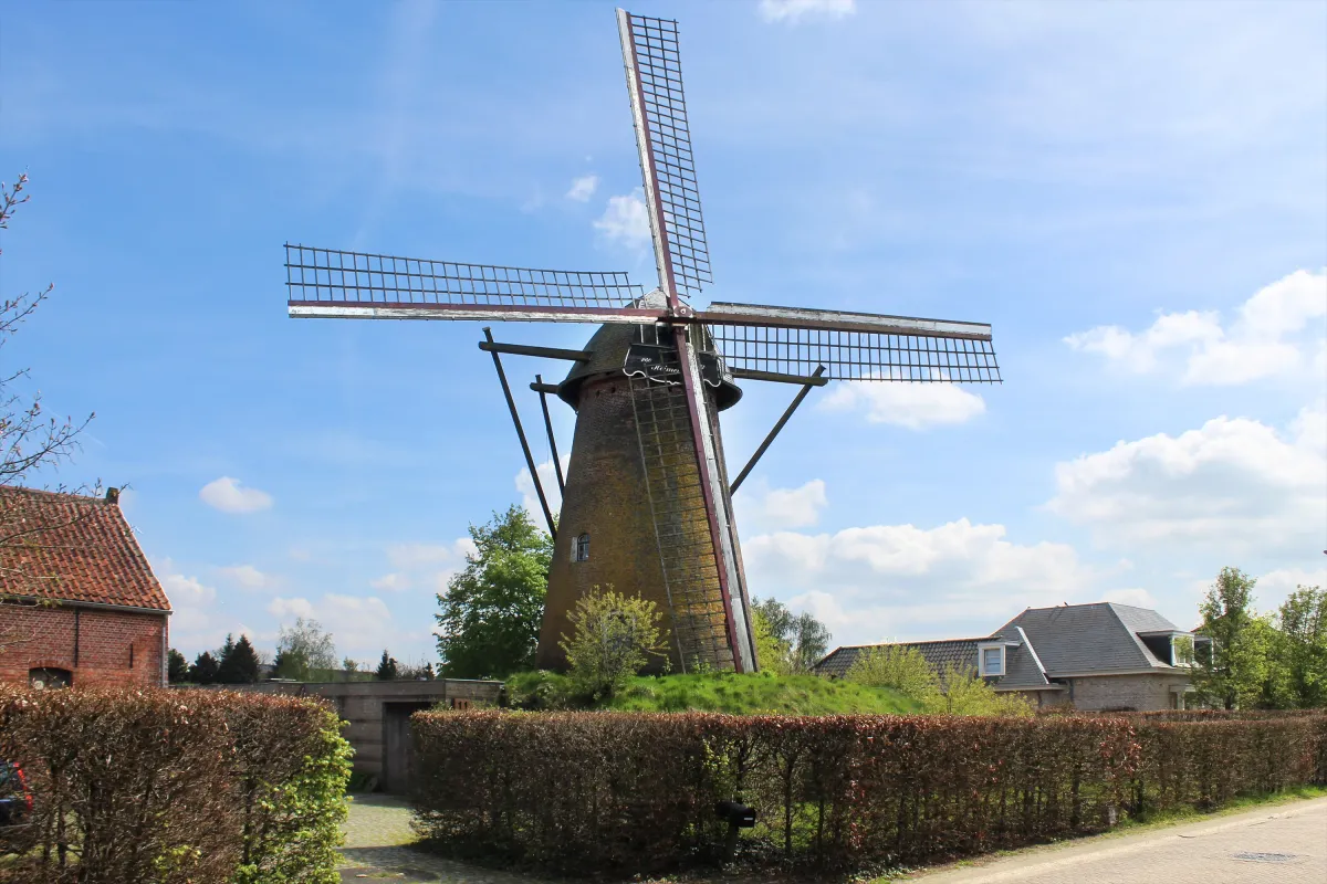 Heimeulen Heimolen Molen van Mertens