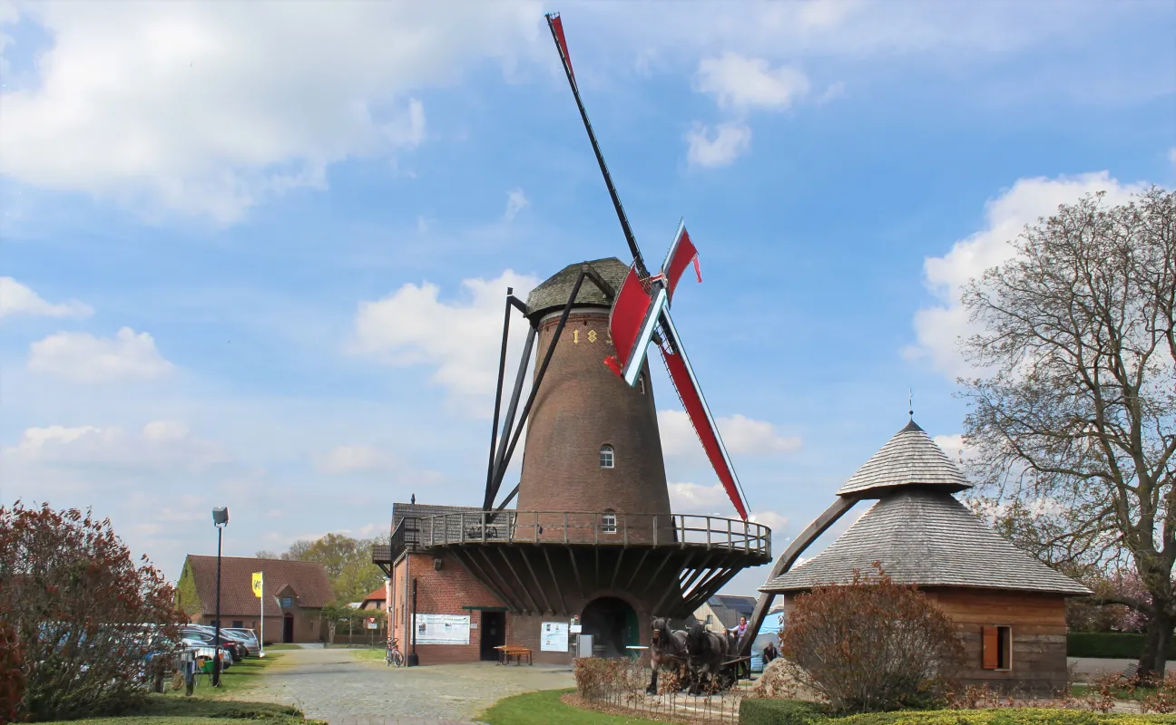 Arbeid Adelt Molen Verheyen