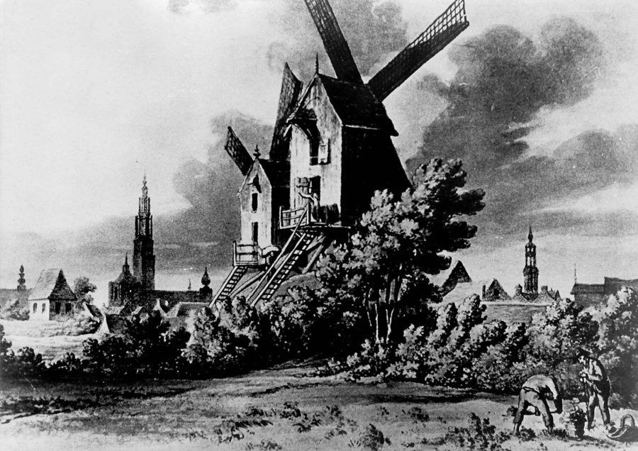 De Oranjeboom De Oraniënboom