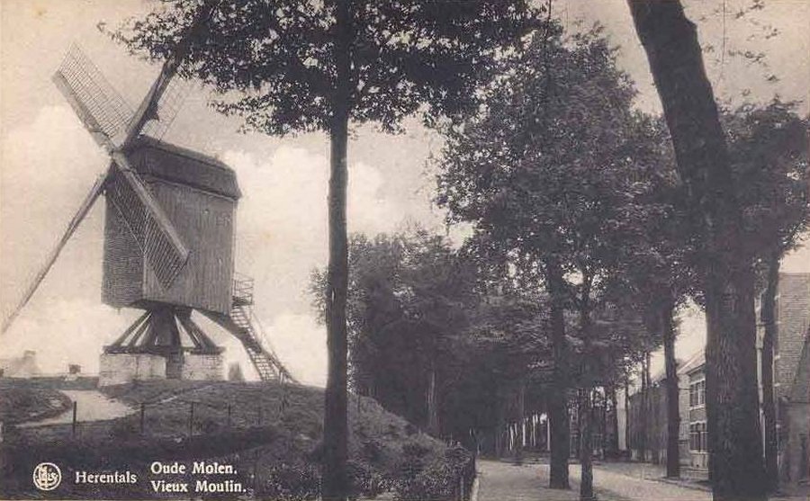 Molen op de Vesten Walmolen Schorsmolen Driesenmolen