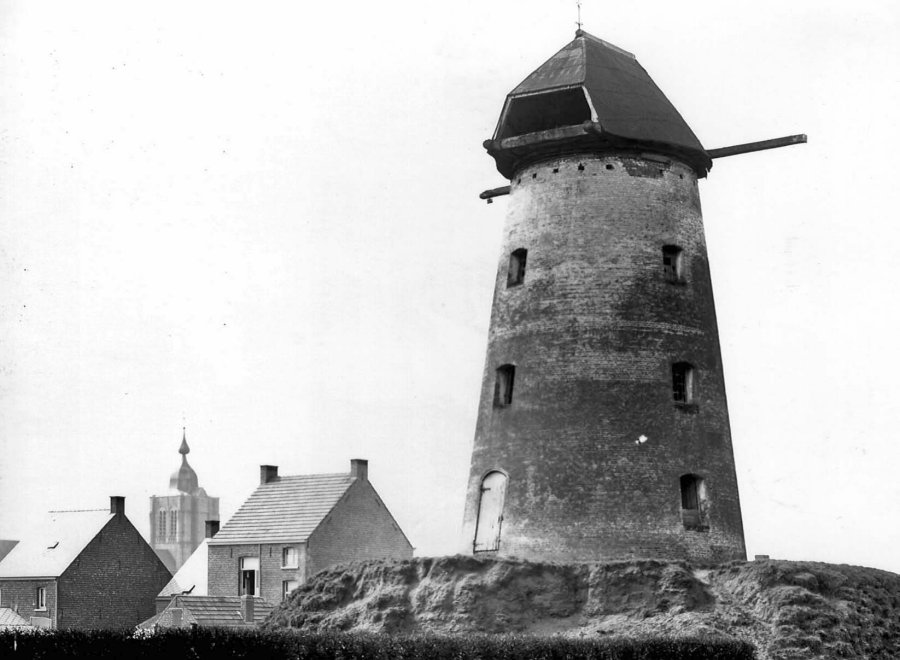 Molen Van Looy Bergmolen