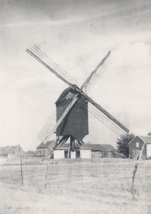 Koekoekmolen Molen Van Noten Het Meuleken