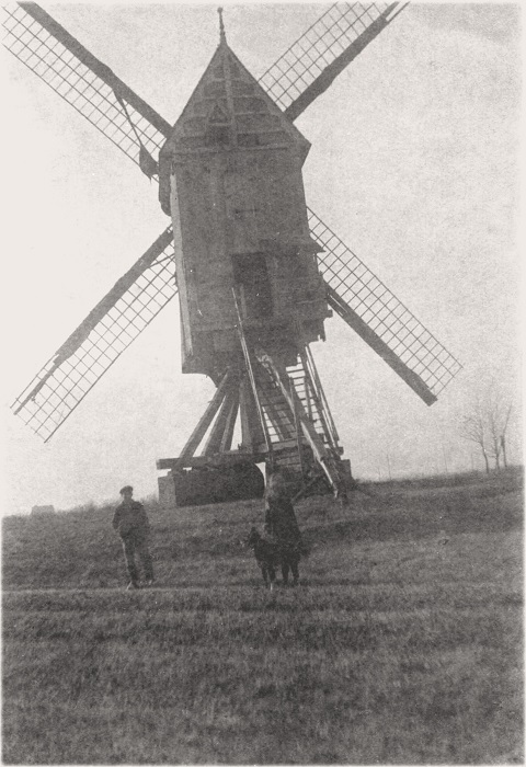 Molen op het Goor Molen Bruynseels Molen van 't Molenveld