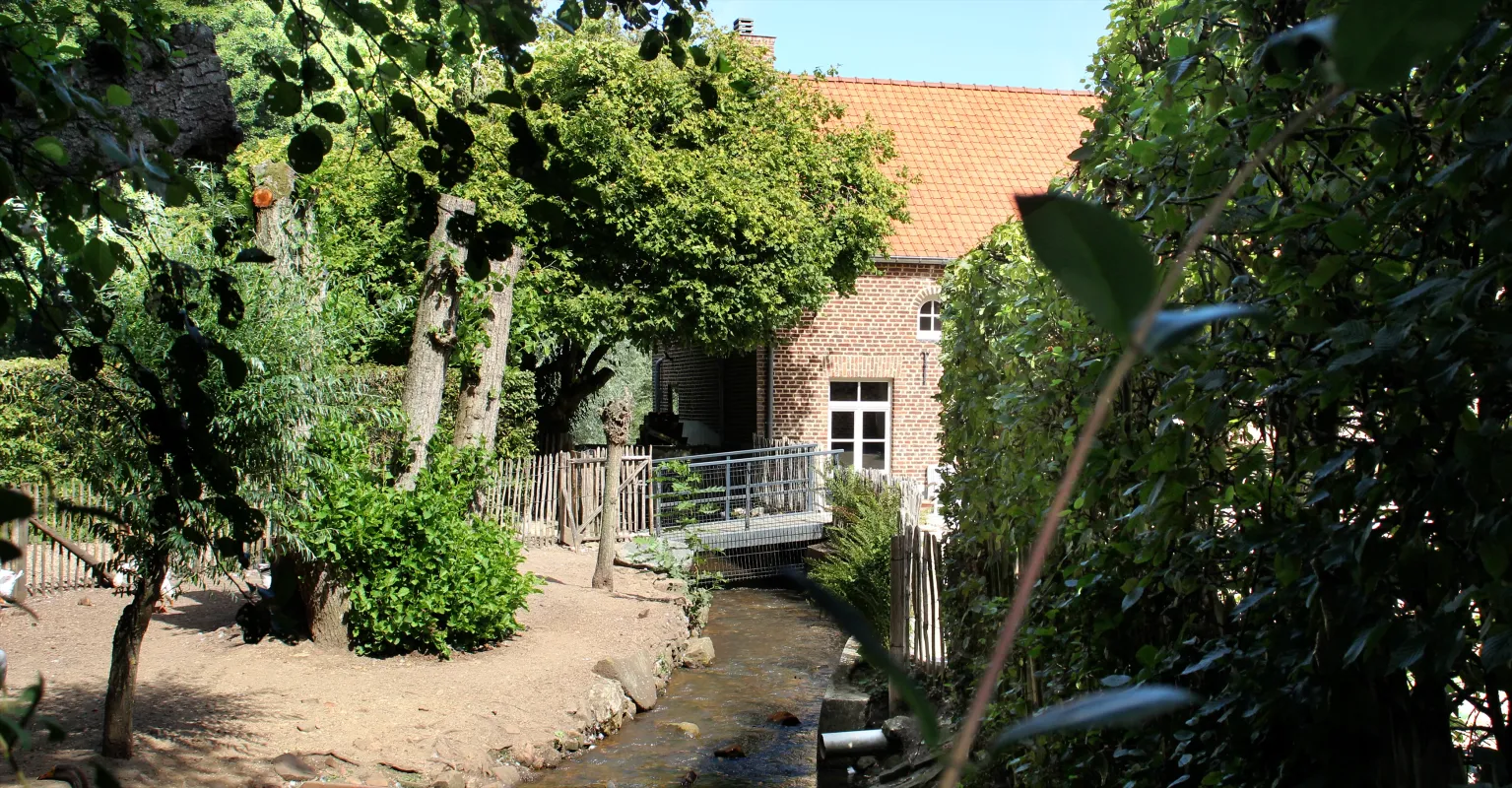 Rooiermolen Royermolen Dusselermolen Gebrande molen Clijstersmolen