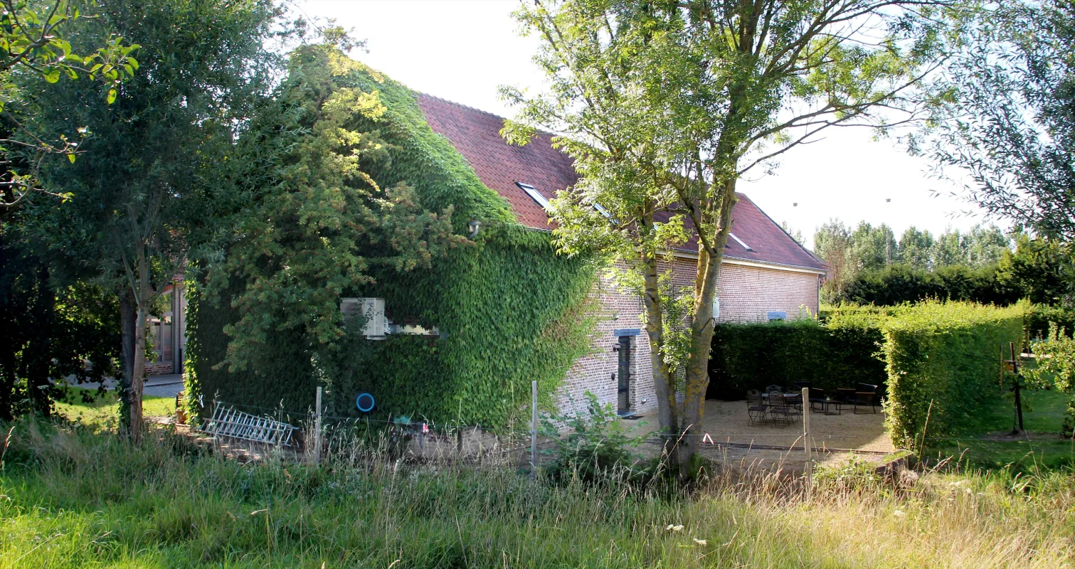 Hoenshovenmolen Hoensmolen De Verloren Parel Het Koraaltje