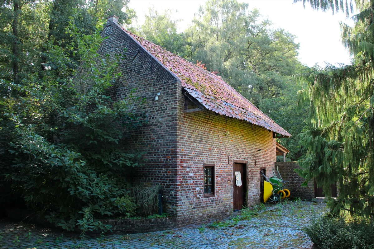 Kikmolen