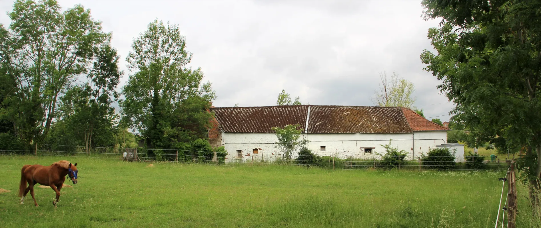 Lindeveldmolen