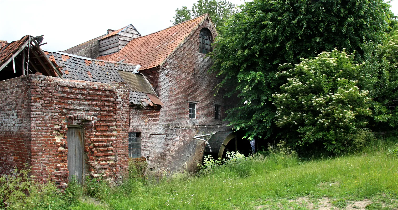 Van Den Borres Molen, Molen Van Den Borre