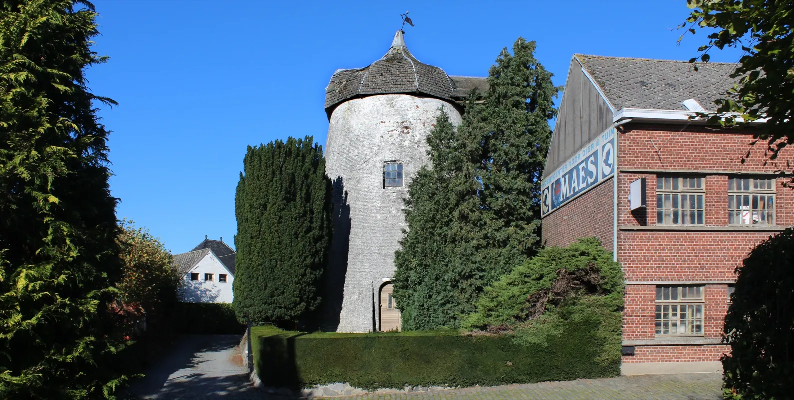 Ter Kruissensmolen Molen Maes