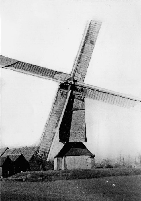 Rekkelingemolen Bachtemolen Molen Van Damme