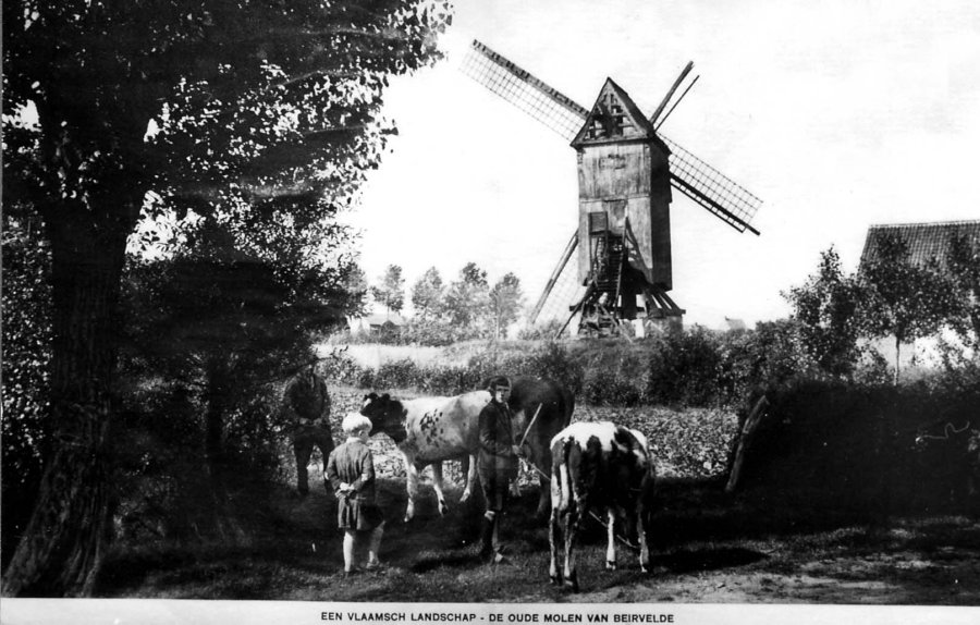 Grote Molen Beerveldemolen Molen De Clercq