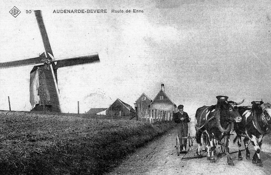 Den Heere Het Stampkot Bogaertsmolen