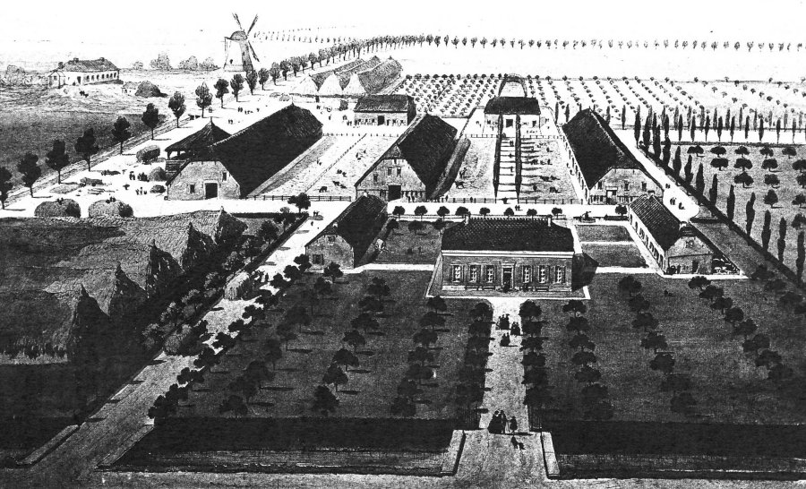 Windmolen van de Prosperpolder Molen Van den Hende