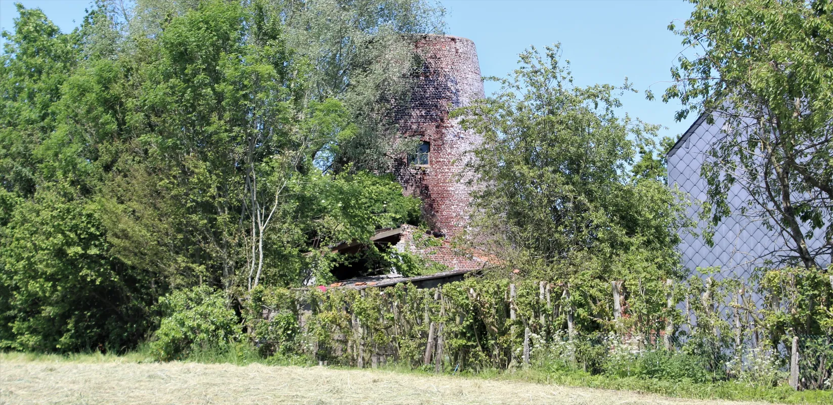 Koutermolen Molen Peizegem