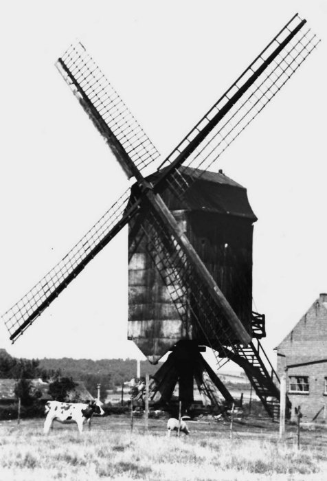 Mierenbergmolen Molen Alen