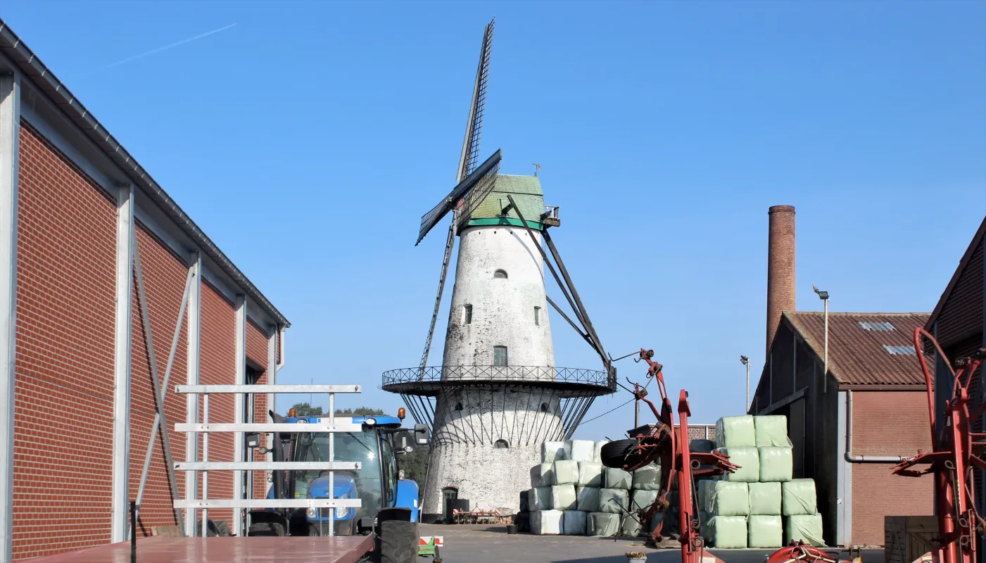 Molen Ter Geest en te Zande Molen Declercq