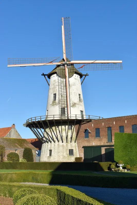 De Grote Macht Witte Molen