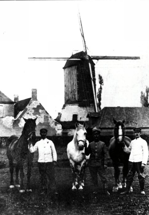 Lioens molen Molen Lioen