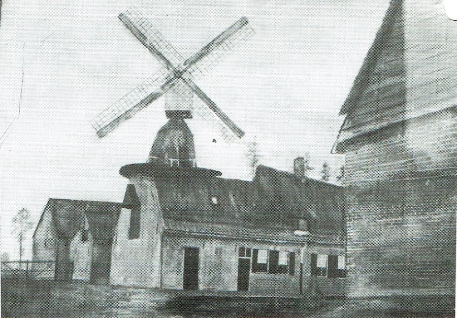 Molentje Vandenberghe Moulin Vert