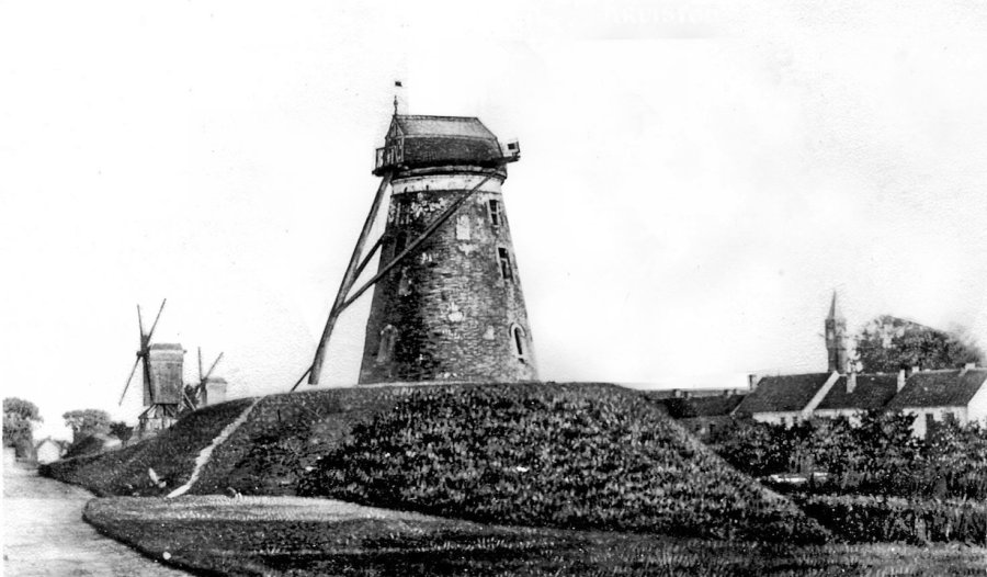 De Papegaai De Hoop De Hope Dhoope D'Hoope