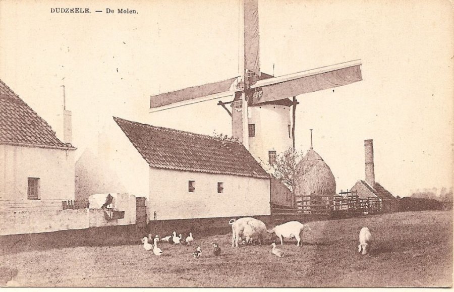 Westmolen Dorpsmolen Grote Molen Proots molen