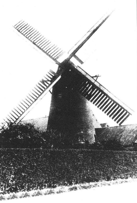 Lepelkotmolen Lepelputmolen Lepelaersmolen Padderiemolen Molen Ampe