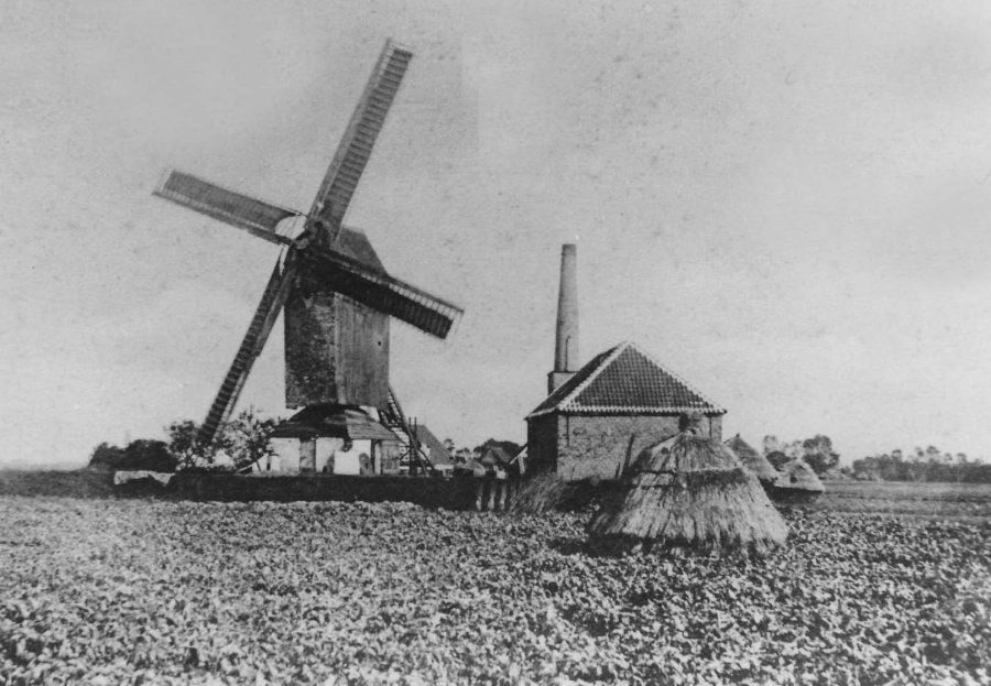 Heidemolen Heimolen Spyckermolen Noordmolen Lindemolen Molen Monbaliu