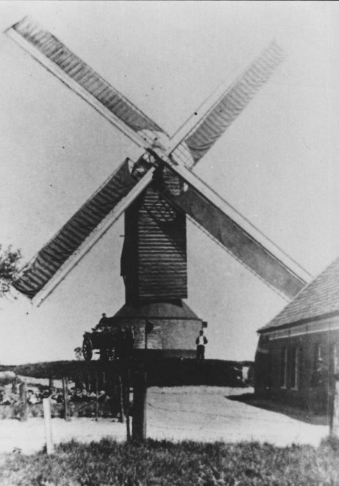 Paandermolen Molen Buyse