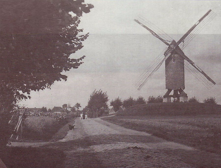 Nieuwe Molen Molen Buyse