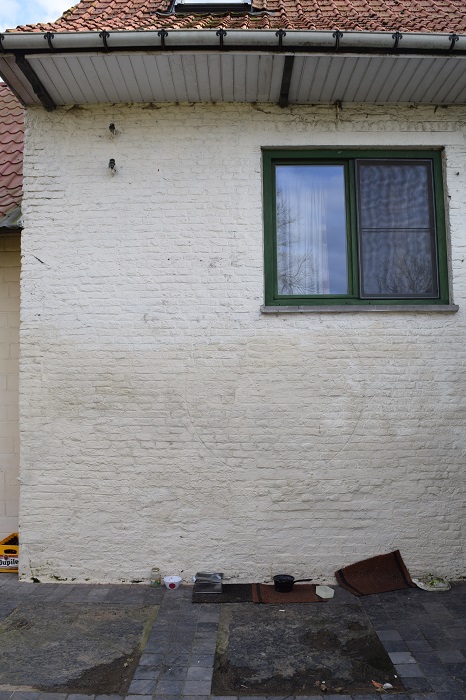 Hondenmolen van de Belle-Weeden Hove