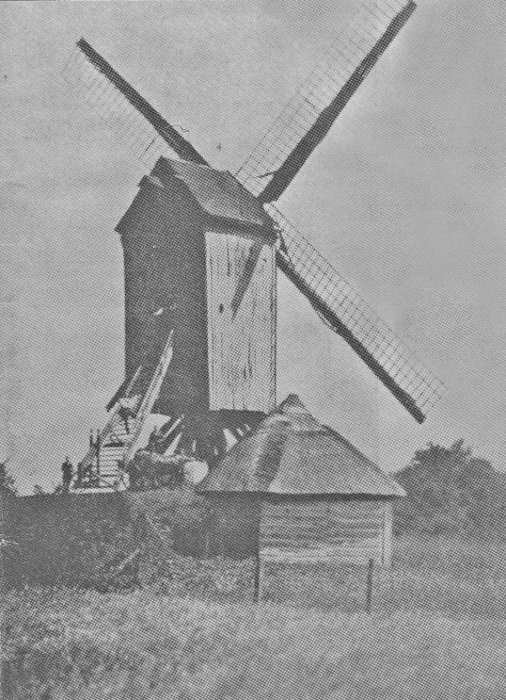 Bergmolen Caesterbergmolen