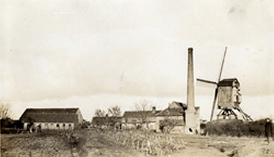 Plaatsmolen Woestenmolen Oostmolen Ampes molen